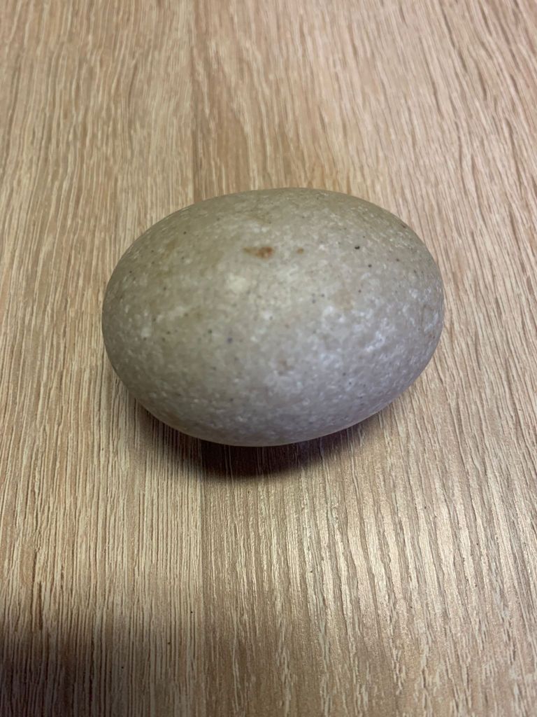 kameno jaje na stolu